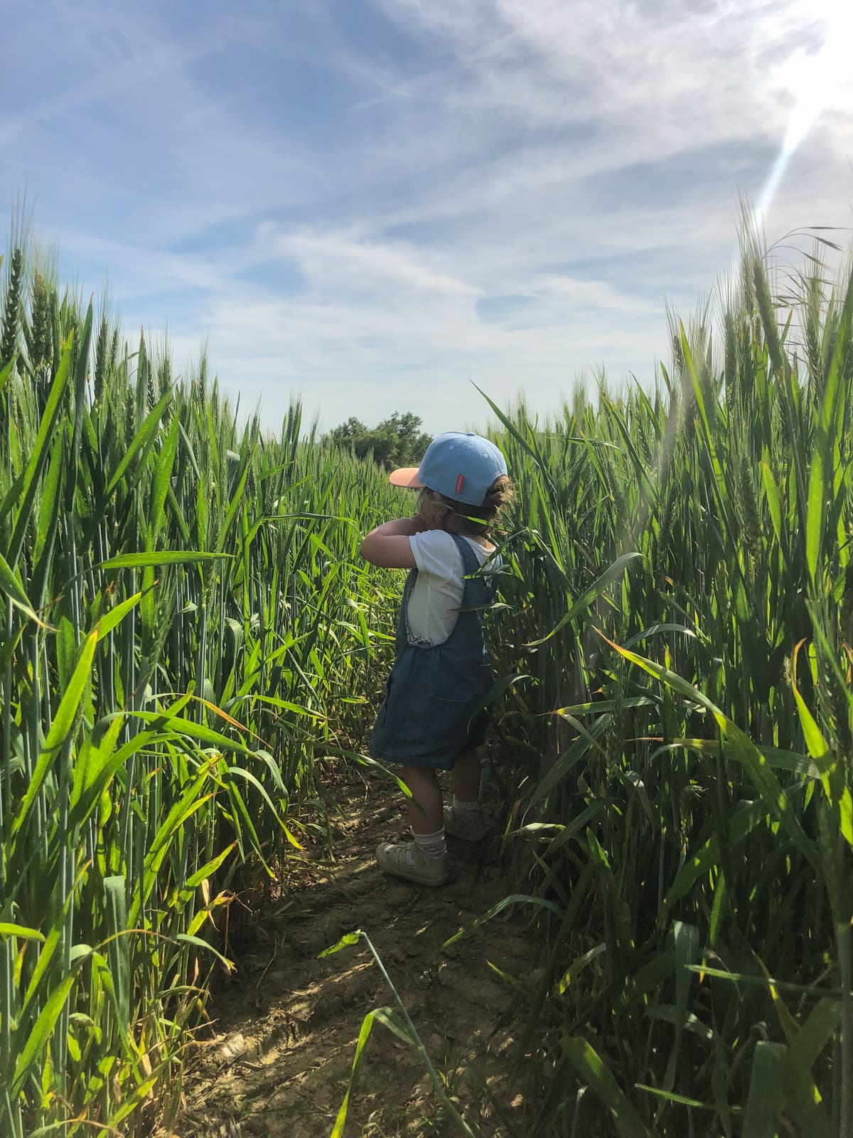Ferme Domaine des Grains d'Or