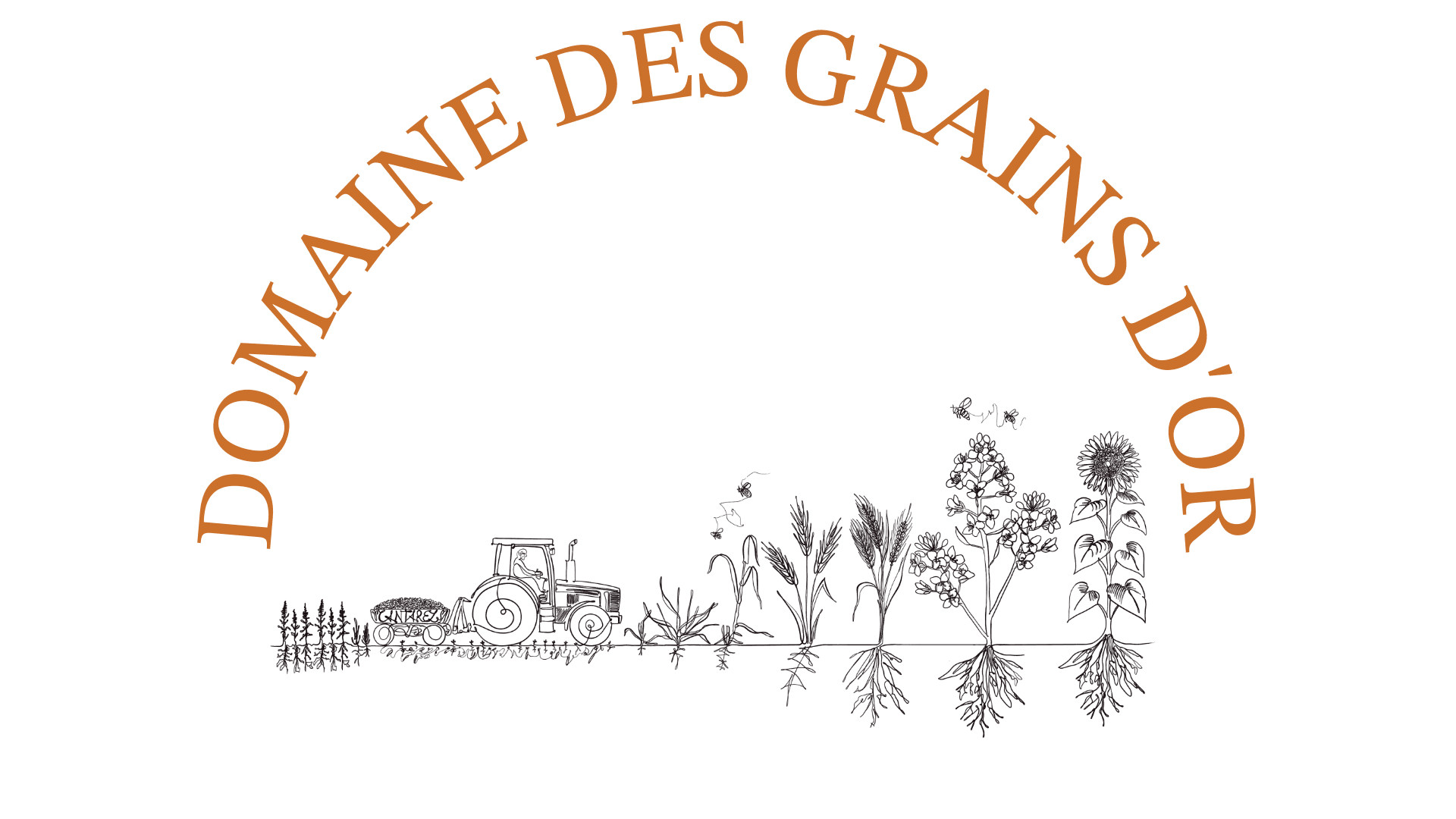 logo Domaine des Grains d'Or